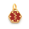 Medilog ID Bracelet Charm